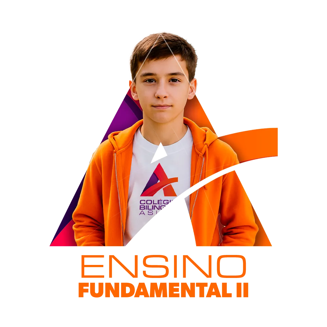 Segmento